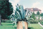 Blue Agave in Mainau