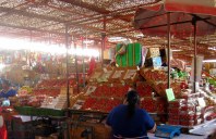 Strawberries Arica Chile covered market 2018